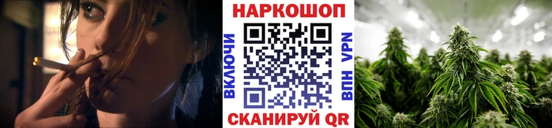 Наркошоп купить Кокаин  A-PVP  Гашиш  Бошки Шишки  МЕФ  Волосово