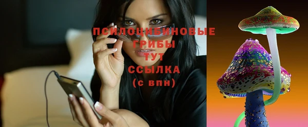 ALPHA PVP Богородицк