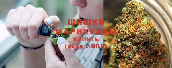 ALPHA PVP Богородицк