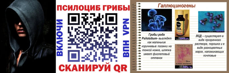 Купить  Волосово  Галлюциногенные грибы ЛСД 