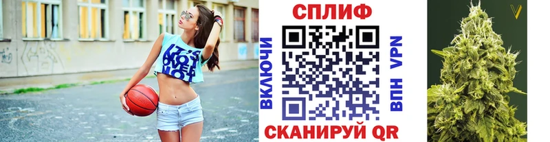 Шишки марихуана планчик  Купить закладки  Волосово 